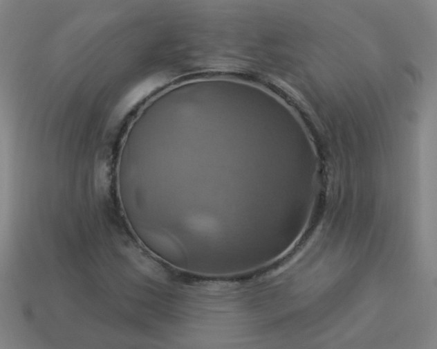 X0000114101163200910191636