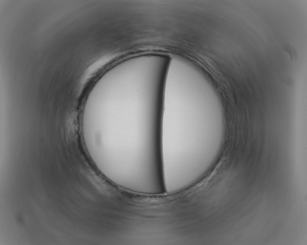 X0000114101164200910191636