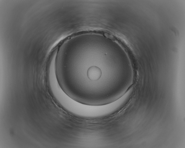 X0000114101165200910191636