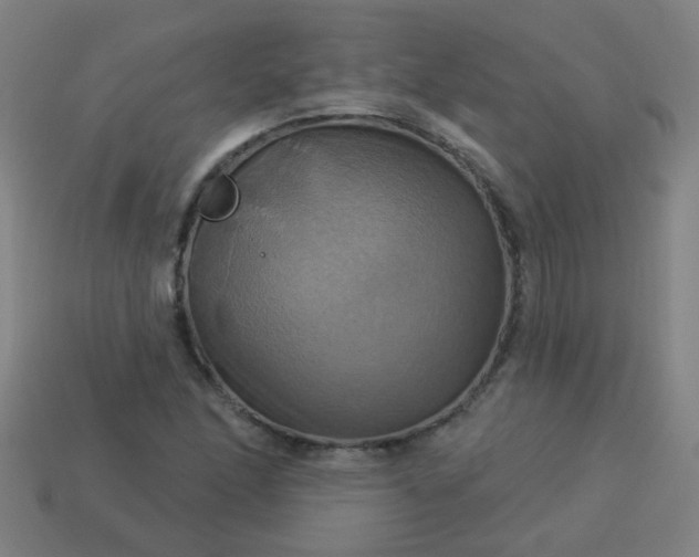 X0000114101166200910191636