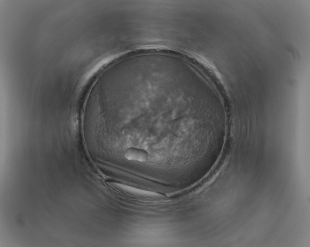 X0000114101167200910191636