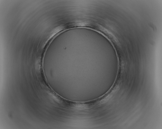 X0000114101170200910191636