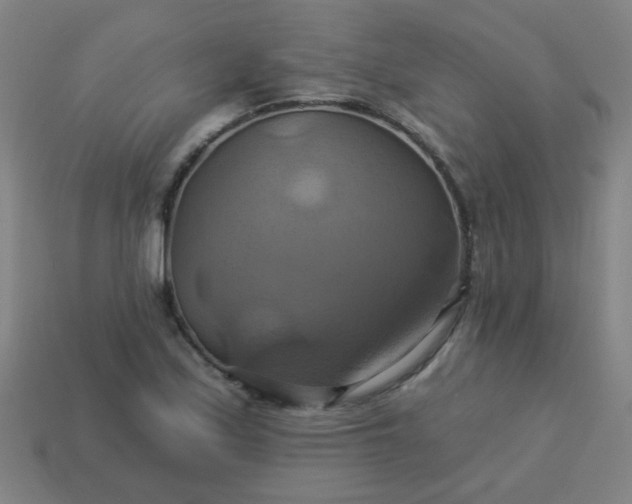 X0000114101171200910191636