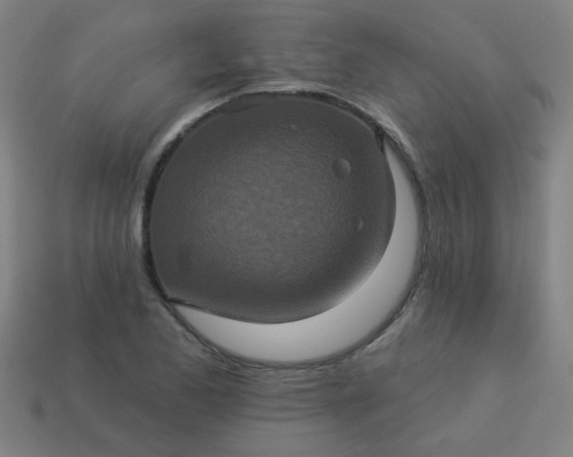 X0000114101173200910191636