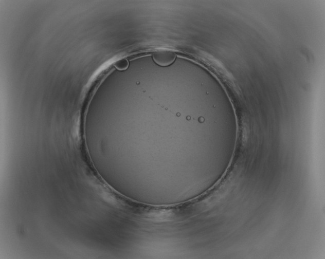 X0000114101174200910191636