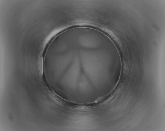 X0000114101175200910191636