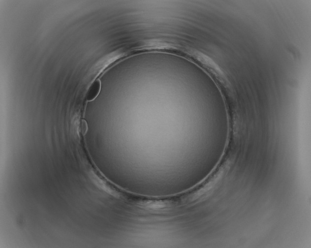 X0000114101177200910191636