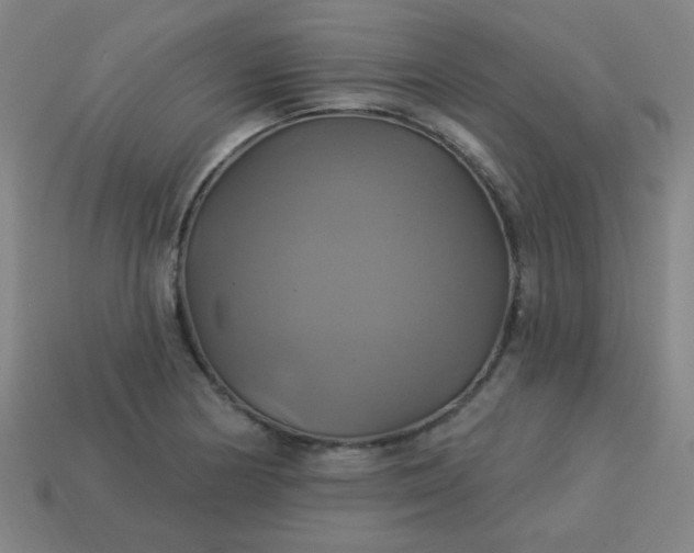 X0000114101178200910191636