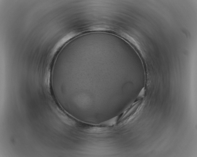 X0000114101179200910191636