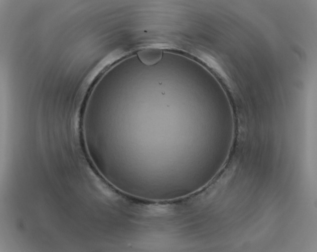 X0000114101181200910191636