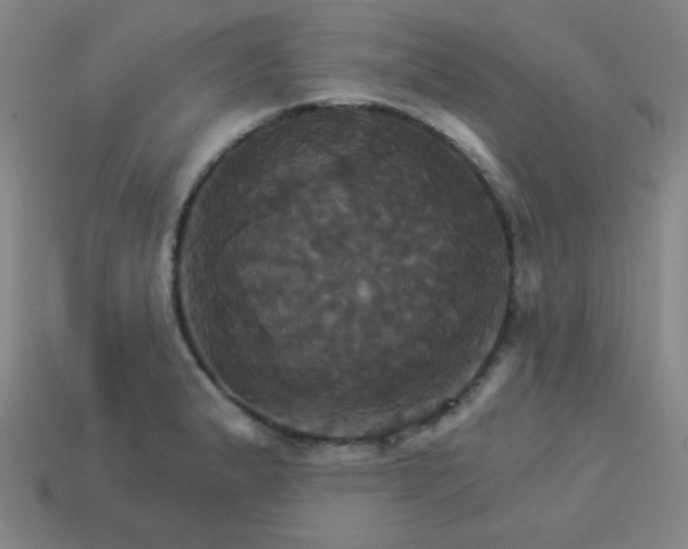 X0000114101183200910191636