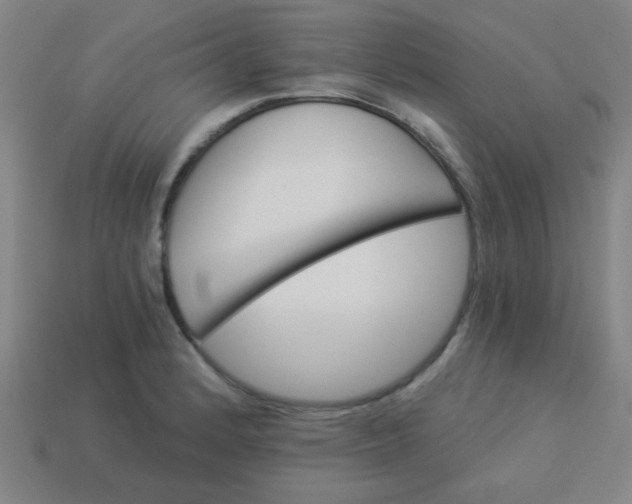 X0000114101184200910191636