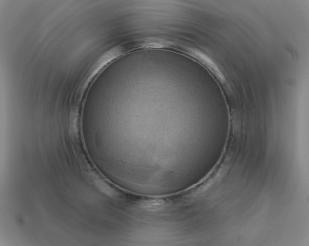 X0000114101186200910191636