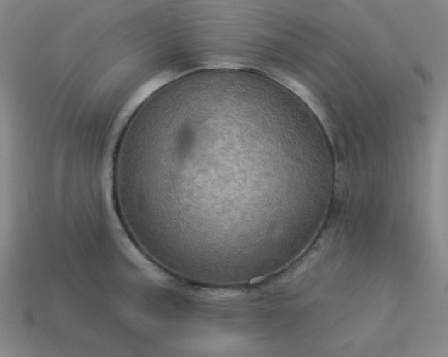 X0000114101187200910191636