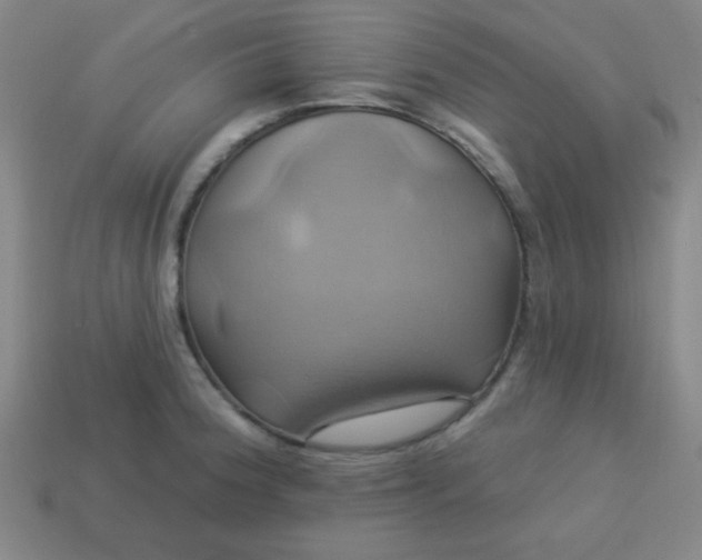 X0000114101188200910191636