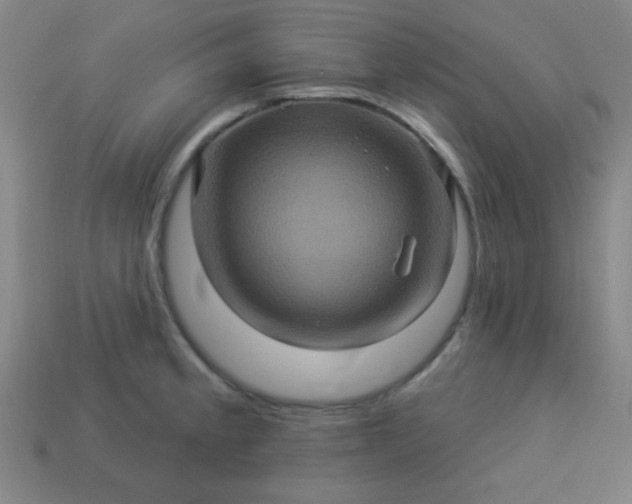 X0000114101189200910191636