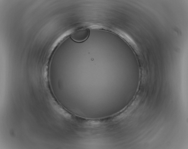 X0000114101190200910191636