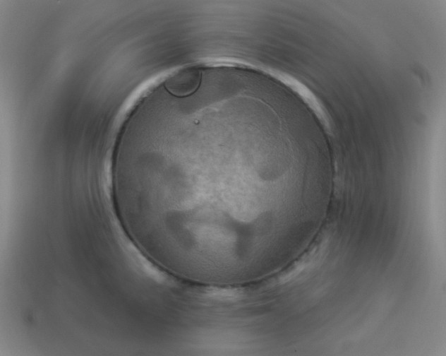 X0000114101191200910191636