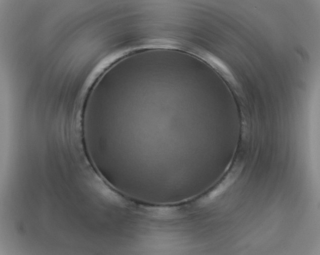 X0000114101192200910191636