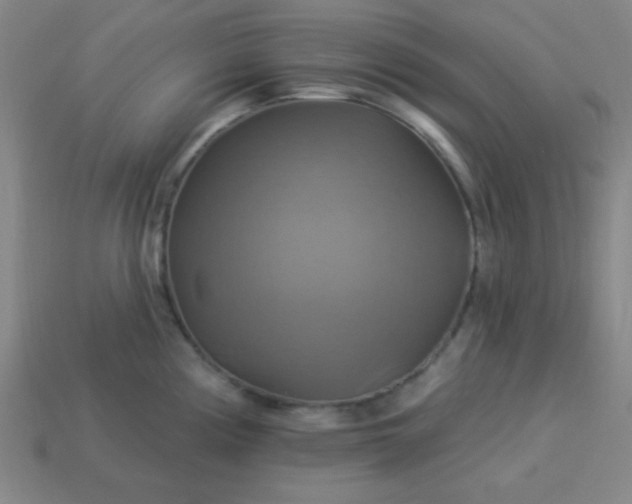 X0000114101194200910191636