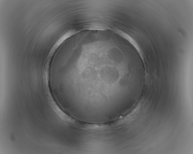 X0000114101195200910191636