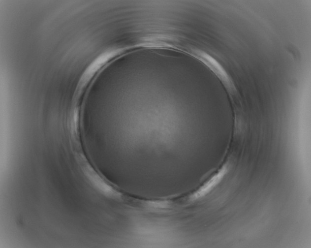 X0000114101196200910191636