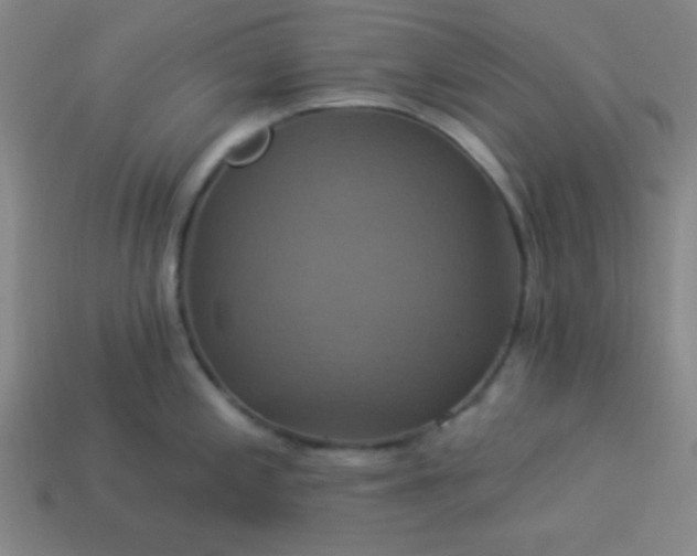 X0000114101197200910191636