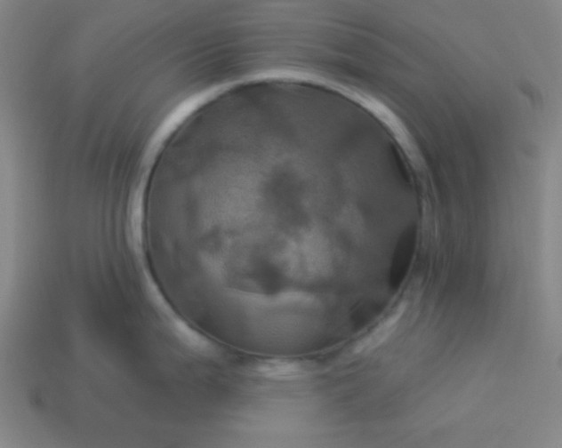 X0000114101199200910191636