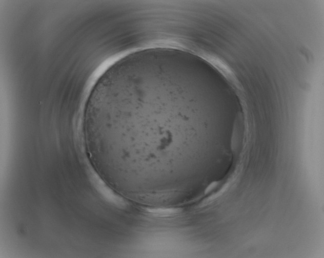 X0000114101200200910191636