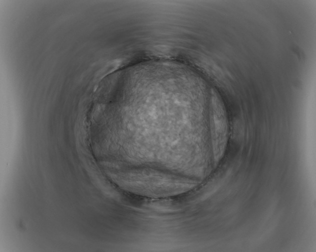 X0000114101201200910191635