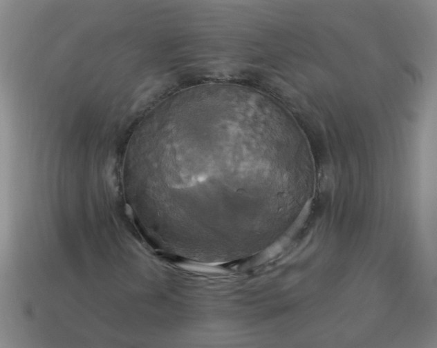 X0000114101202200910191635