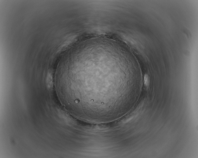 X0000114101203200910191635