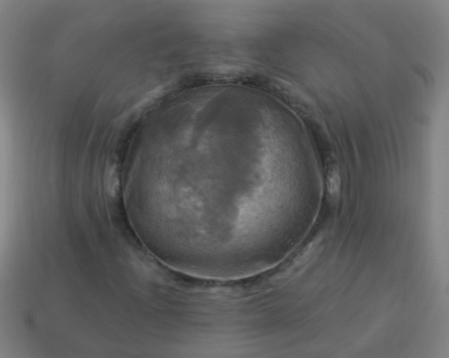 X0000114101204200910191635