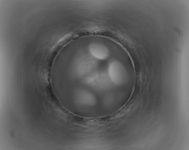 X0000114101205200910191635