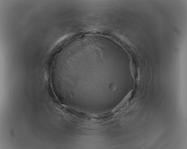 X0000114101206200910191635