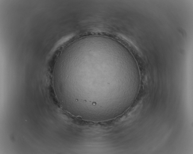 X0000114101207200910191635