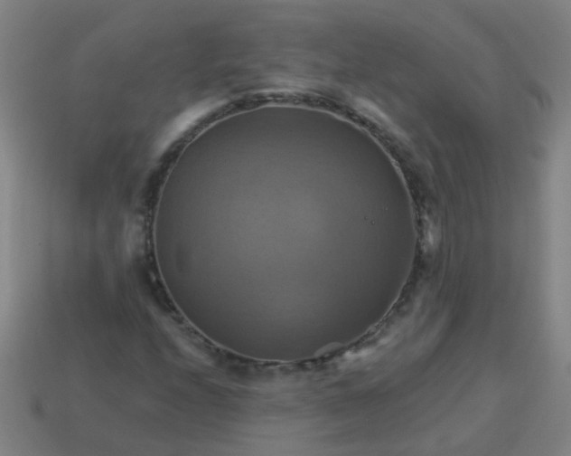 X0000114101208200910191635