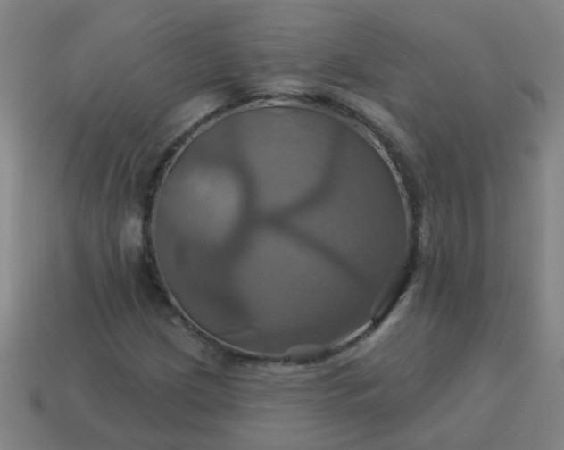 X0000114101209200910191635