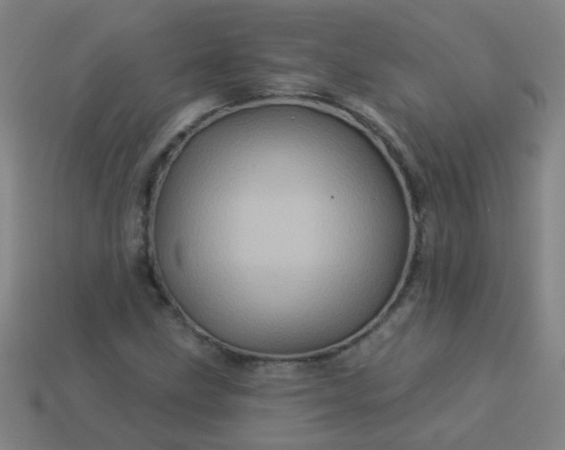 X0000114101211200910191635