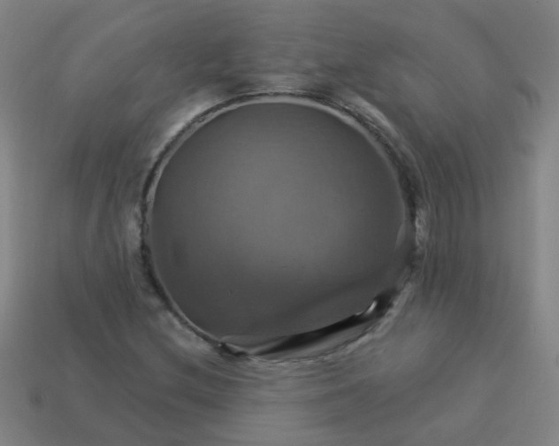 X0000114101212200910191635