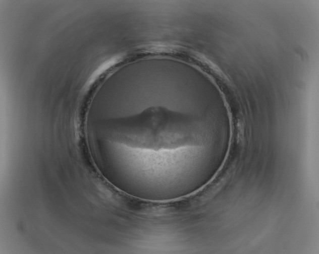 X0000114101213200910191635