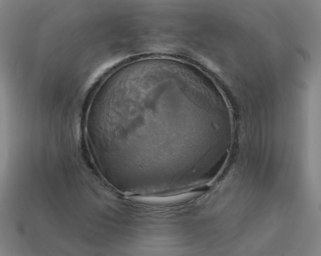 X0000114101214200910191635