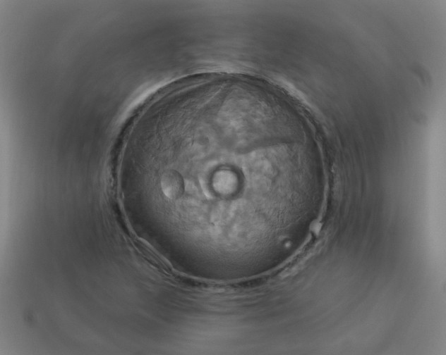 X0000114101215200910191635