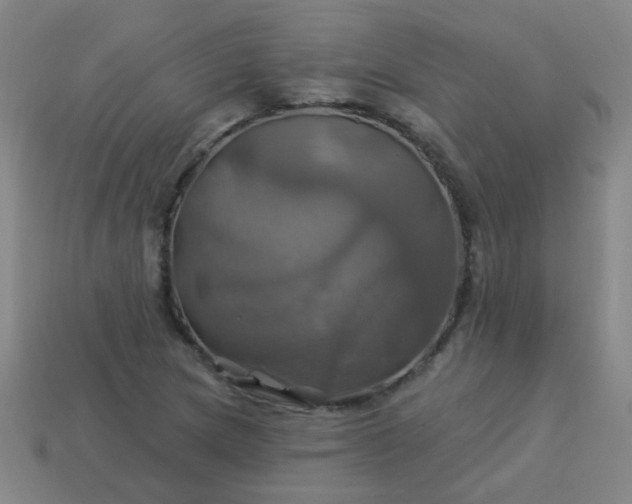 X0000114101217200910191635