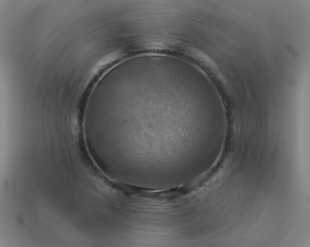 X0000114101218200910191635