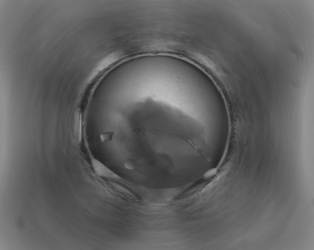 X0000114101219200910191635