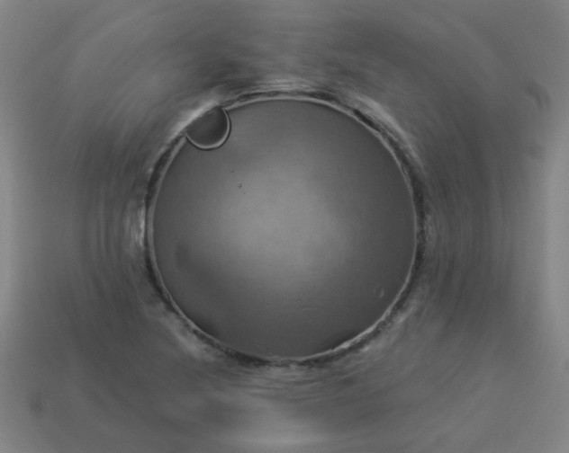 X0000114101220200910191635