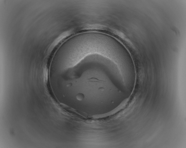 X0000114101221200910191635