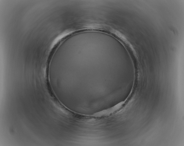 X0000114101222200910191635