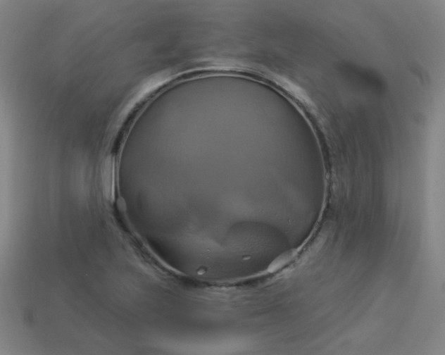 X0000114101223200910191635